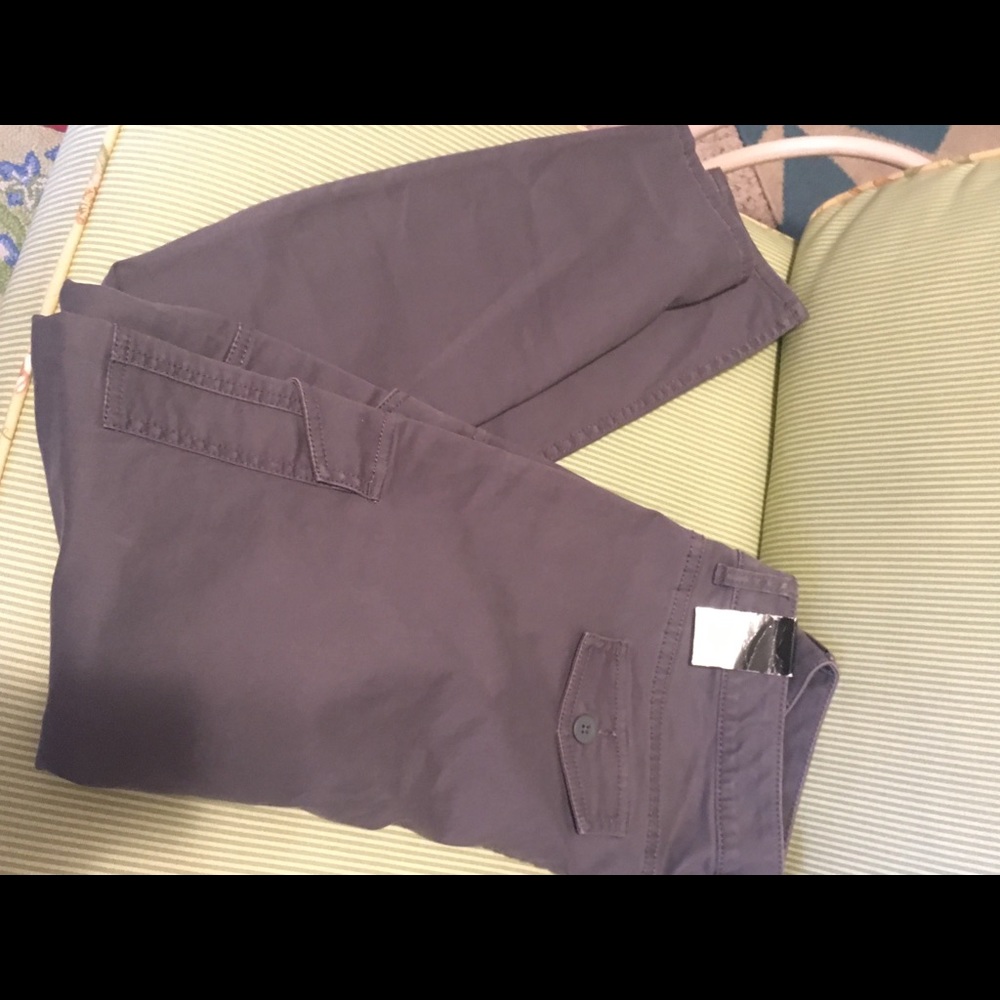 NWT Express Pants